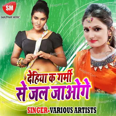 Dehiya Ke Garmi Se Jal Jaoge Poster
