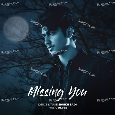 Missing You Cover