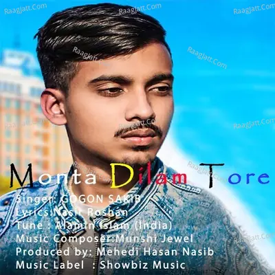Mehedi Hasan Nasib Image