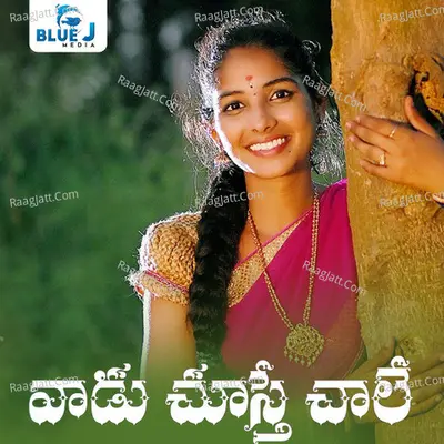 Vaadu Chusthe Chale Cover