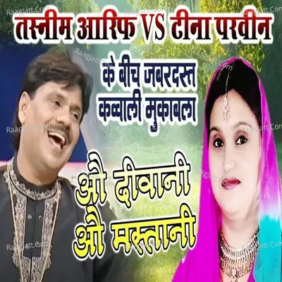 O Diwani O Mastani Cover