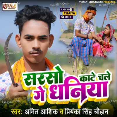 Sarso Kaate Chale Ge Dhaniya Cover