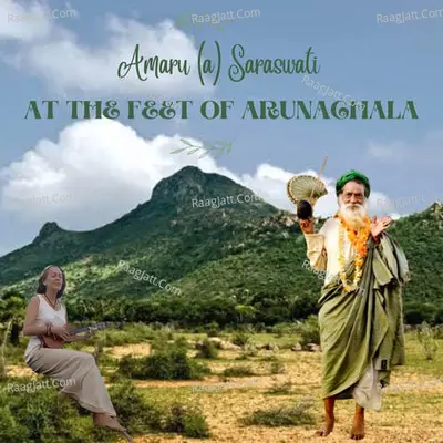 At The Feet Of Yogi Ramsuratkumar - Amaru A Saraswati