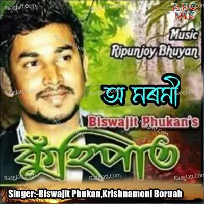 Biswajit Phukan Image