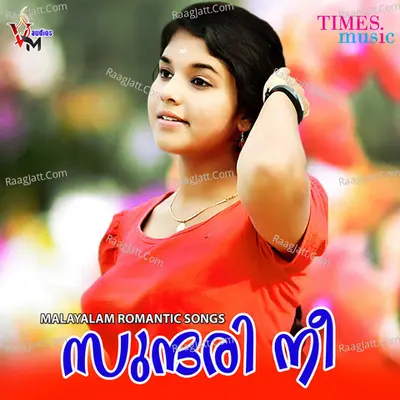 Sundari Nee Poster