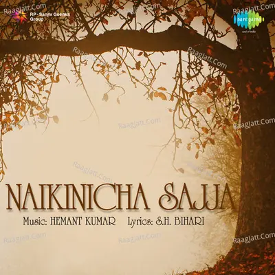 Naikinicha Sajja Poster