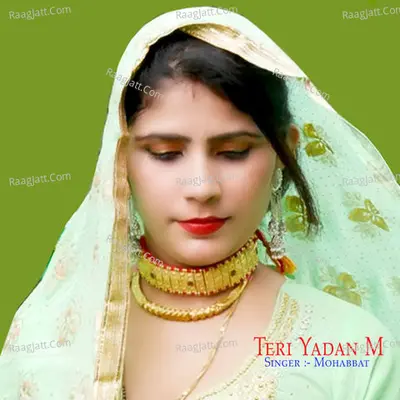Teri Yadan M - Mohabbat