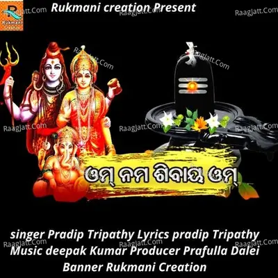 Pradip Tripathy Image