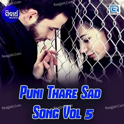 Puni Thare Sad Song Vol 5 Poster