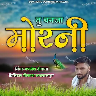 Tu Banja Morani - Paplesh Deewana
