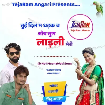Tui Dil m Dhadak Ch Cover