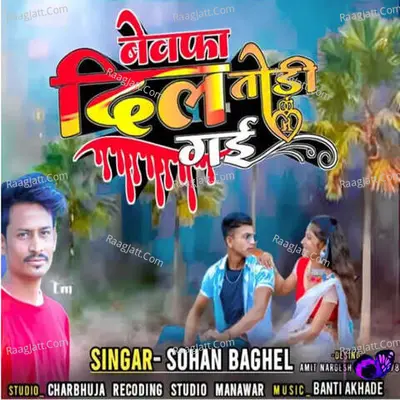 Bewafa Dil Todi Gayi Cover