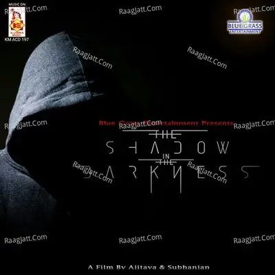 The Shadow in The Darkness Poster