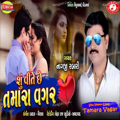 Shu Veete Chhe Tamara Vagar - Single
