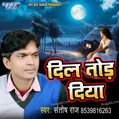 Dil Tod Diya Poster