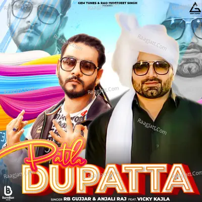 Patla Dupatta Cover