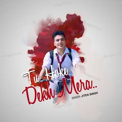 Tu Hoke Dekh Mera Cover