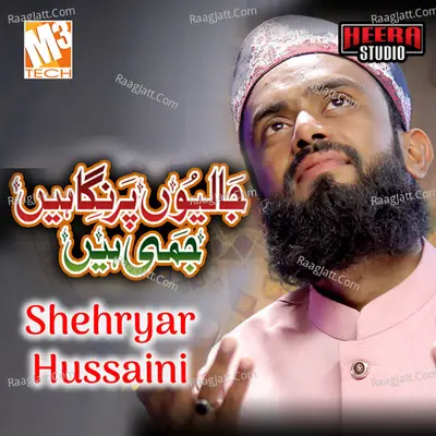 Jalliyon Per Nighaen Jami Hain - Single