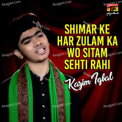 Shimar Ke Har Zulam Ka Wo Sitam Sehti Rahi - Single