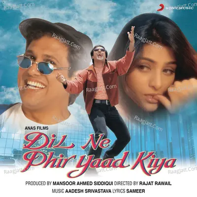 Dil Ne Phir Yaad Kiya (Original Motion Picture Soundtrack) - Aadesh Shrivastava