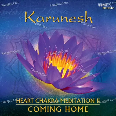 Heart Chakra Meditation - Vol. 2 - Coming Home - Karunesh