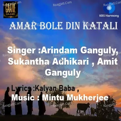 Amar Bole Din Katali Poster