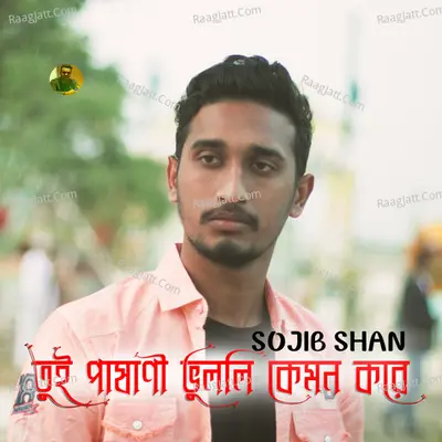 Tui Pashani Vulli Kemon Kore Cover
