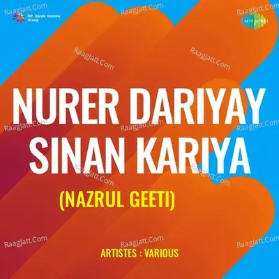 Nurer Dariyay Sinan Kariya Poster