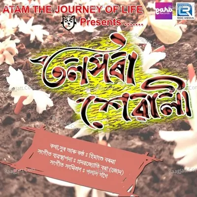 Tolxora Xewali Cover