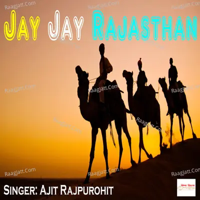 Ajit Rajpurohit Image