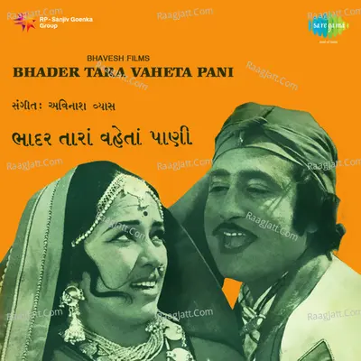 Bhader Tara Vaheta Pani Poster