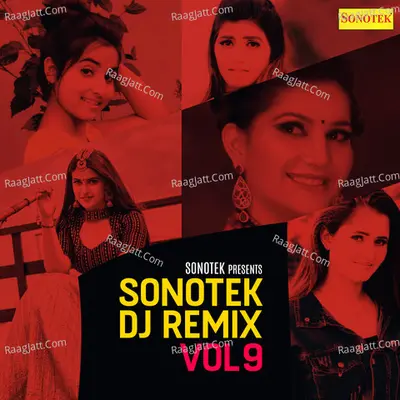 Sonotek DJ Remix Vol 9 Poster