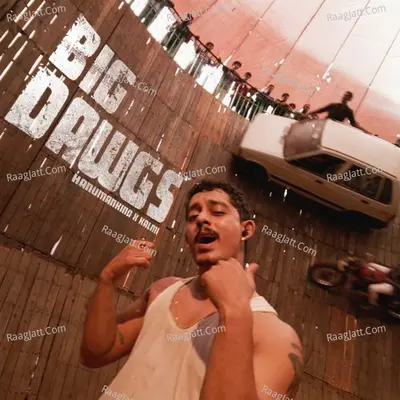 Big Dawgs Cover