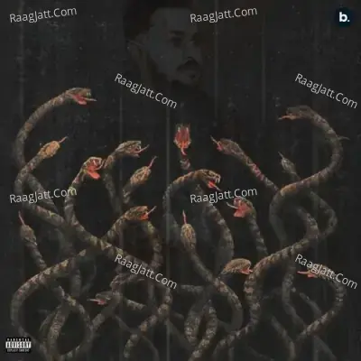 Snake Cover