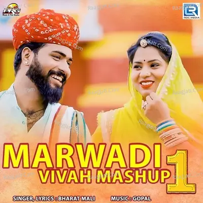 Marwadi Vivah Mashup 1 Cover
