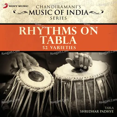 Rhythms On Tabla - Shridhar Padhye