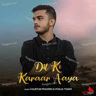 Dil ko karaar aaya Cover