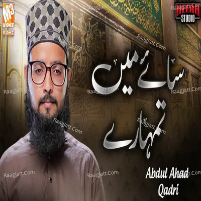 Abdul Ahad Qadri Image