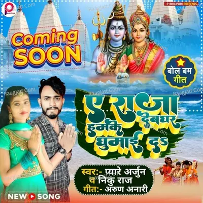 Niku Raj Image