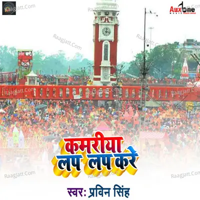 Praveen Singh Image