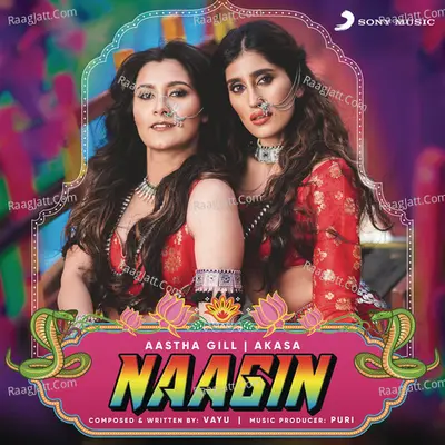 Naagin Cover