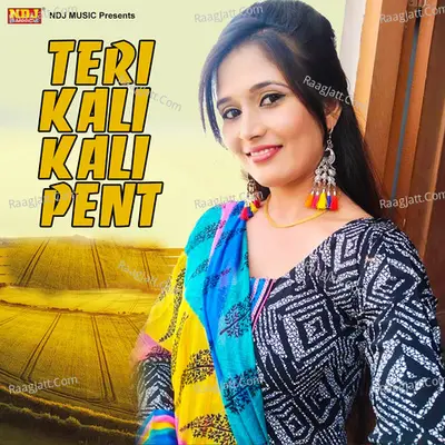 Teri Kali Kali Pent