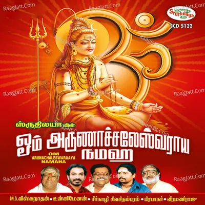 Om Arunachaleswaraya Namaha Poster