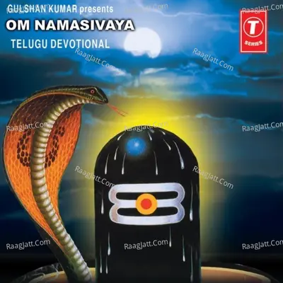 Om Namasivaya - Vani Jairam