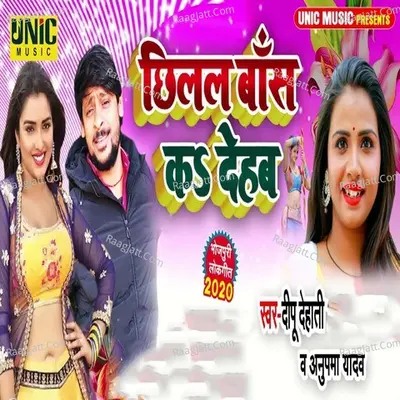 Chilal Baas Kar Dehab Cover