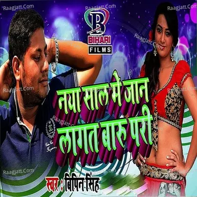 Naya Saal Mein Jaan Lagat Badu Pari - Single Cover