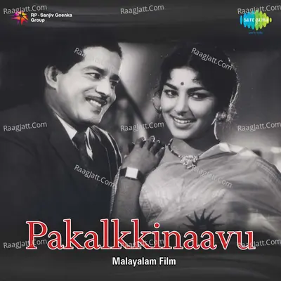 Pakalkkinaavu Poster