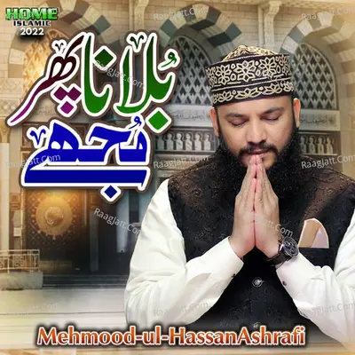 Mehmood Ul Hassan Ashrafi Image