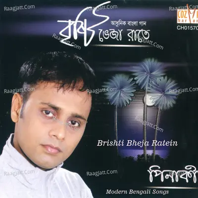 Brishti Bheja Ratein Poster