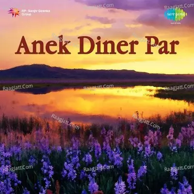 Anek Diner Par - Banani Ghosh